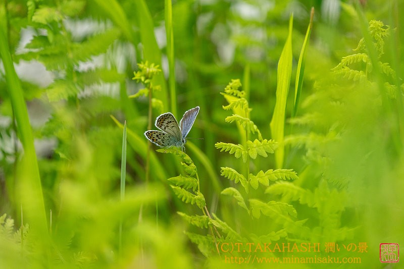 ../Images/7R240706 (593).jpg